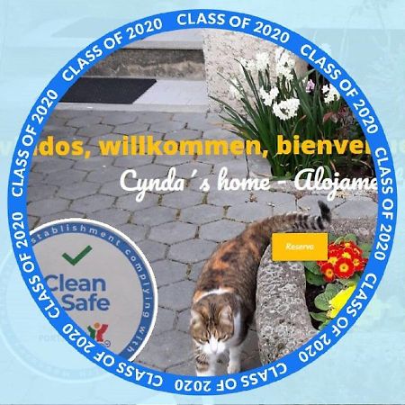 Cynda'S Home Визеу Экстерьер фото